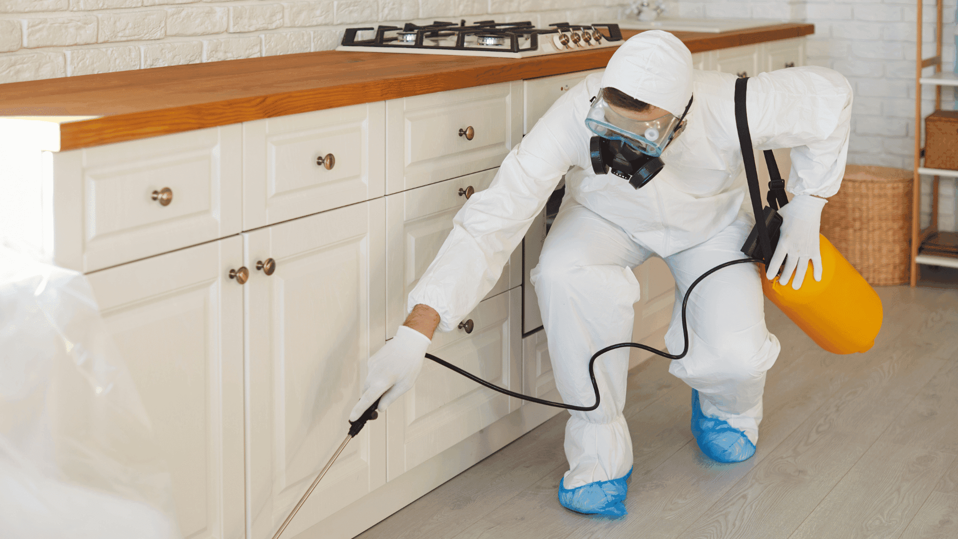 Residential Pest Control